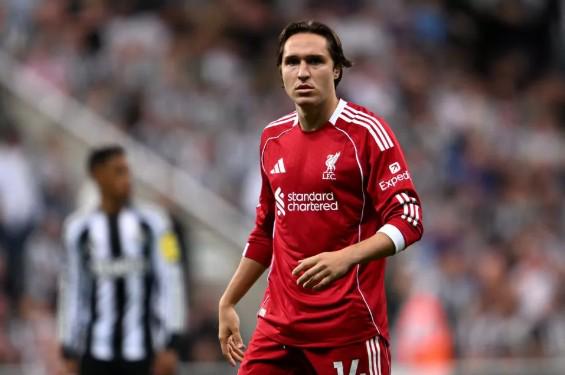 张莽龙,体育生运动,员在篮球运,博鱼体育官网,博鱼体育app,博鱼体育APP下载