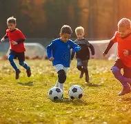 英足總撤換,歐足聯安保,人員,博鱼体育官网,博鱼体育app,博鱼体育APP下载