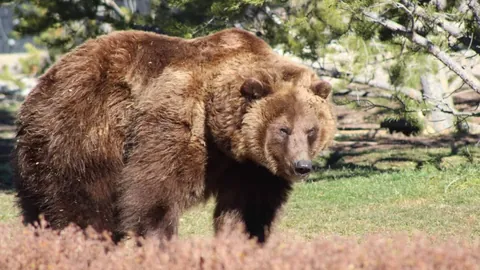 图解：让学生在运动中体验快乐，提升身体素质