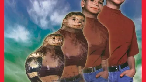 NBA专栏：火热状态解析，总分胜负深度分析